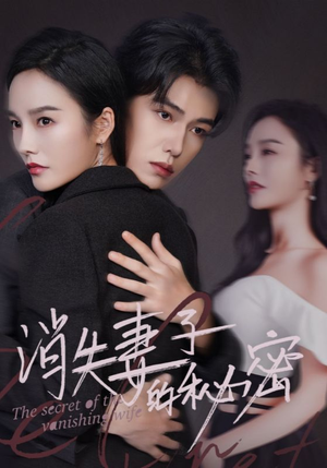 消失妻子的秘密（60）分享热门短剧