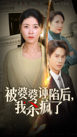 被婆婆诬陷后我杀疯了（30集）精彩连连免费看