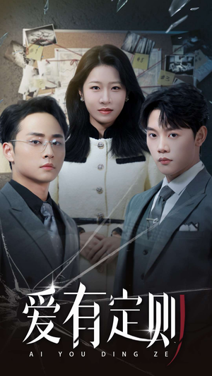 爱有定则（30集）爱上了这部剧了