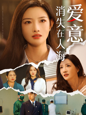 爱意消失在人海（60集）剧情简介
