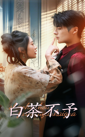 白茶不予（68集）全网独播免费看