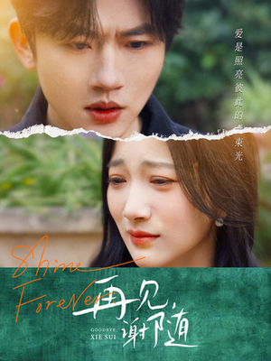 再见谢随（30集）全集在线看