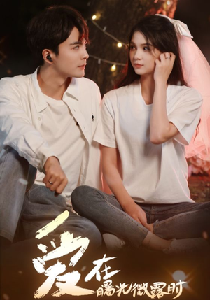 爱在曙光微露时（49集）全集下载