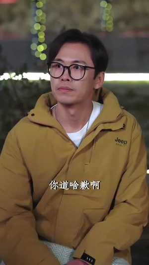 不再见爱人（32集）爆款热门短剧