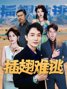 插翅难逃（43集）在线看完整版