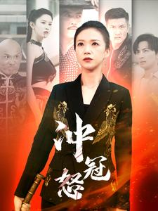 冲冠怒（93集）高清画质免费看