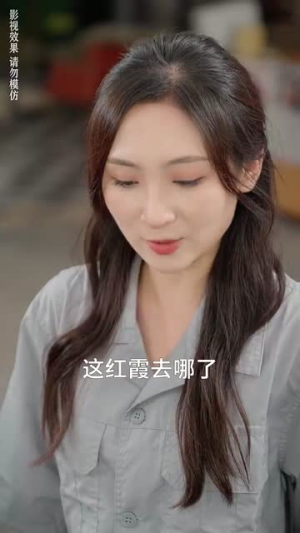 你好李书惠（32集）1-102集