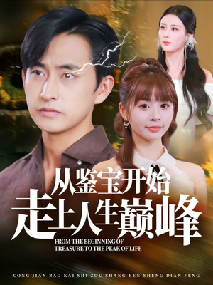 从鉴宝开始走上人生巅峰（80集）观看软件