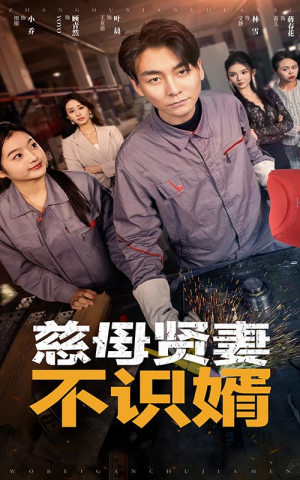 慈母贤妻不识婿（45集）真的太精彩了