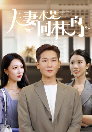 夫妻本是同林鸟（76集）古代短剧推荐