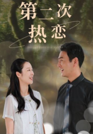 第二次热恋（48集）夸克在线观看