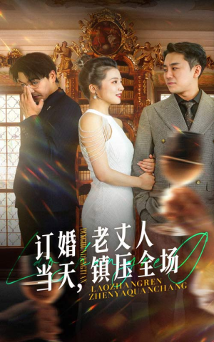 订婚当天，老丈人镇压全场（29集）大结局太过瘾了