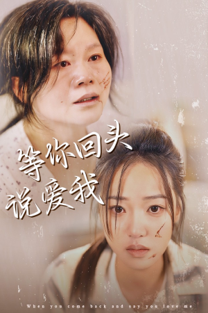 等你回头说爱我（87集）短剧小说在线看