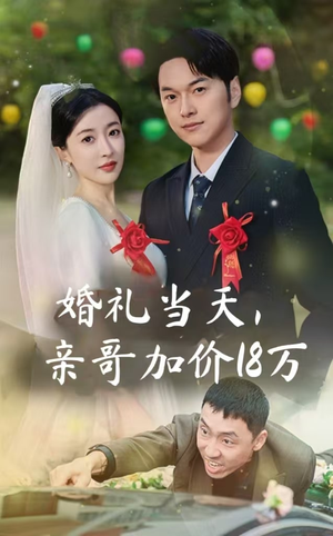 婚礼当天，亲哥加价18万（36集）怎么看全集