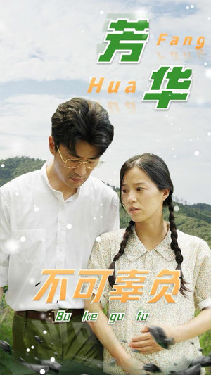 芳华不可辜负（36集）免费在线看