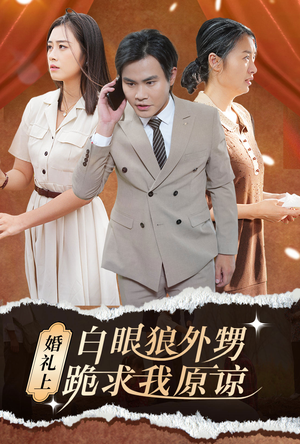 婚礼上白眼狼外甥跪求我原谅（35集）好看的短剧电影