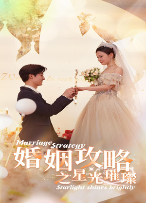 婚姻攻略之星光璀璨（32集）80到100集