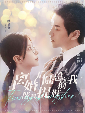 离婚后陆总倒追我帮我提鞋（100集）太好看了短剧