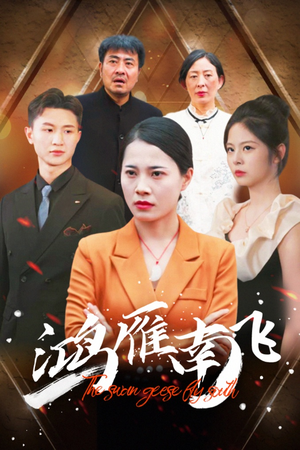 鸿雁南飞（64集）抢先看热门短剧