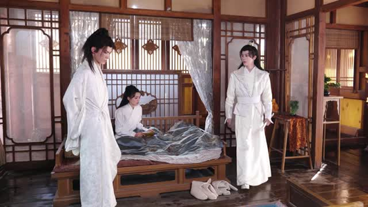 恋恋花颜御捕（25集）太好看了短剧