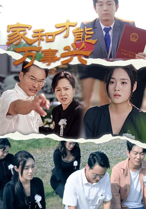 家和才能万事兴（30集）好看上头短剧