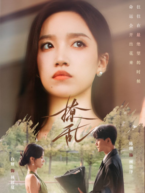 撩乱（65集）全网短剧抢先看