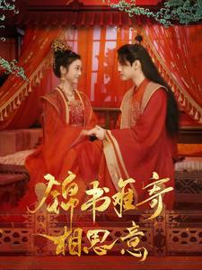 锦书难寄相思意（97集）短剧推荐上热门