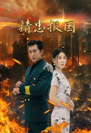 精忠报国（61集）视频在线看