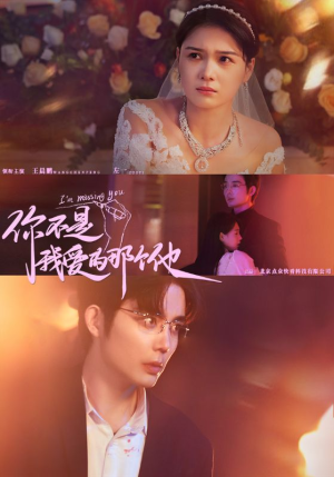 你不是我爱的那个他（54集）超好看古装短剧