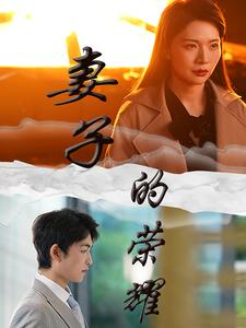 妻子的荣耀(40集) 妻子的荣耀(40集)最后的大结局