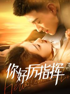 你好厉指挥（100集）剧好看短剧推荐