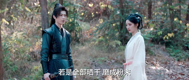 南柯梦（24集）全集免费观看