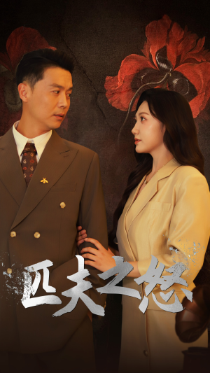 匹夫之怒（48集）短剧太精彩