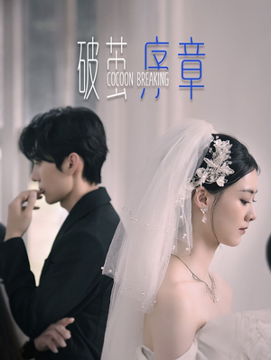破茧序章（64集）红果免费看短剧