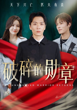 破碎的勋章（43集）全季一次看完