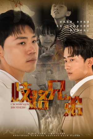 歧路兄弟（63集）全网短剧抢先看