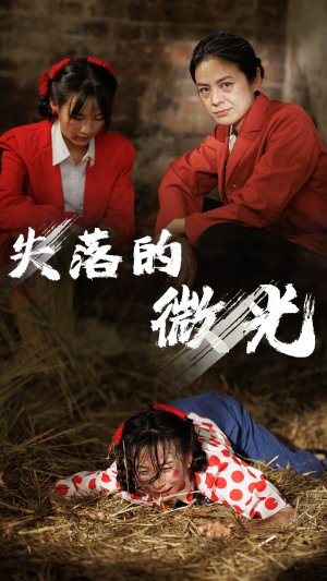 失落的微光（60集）360网盘观看