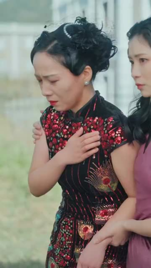 少帅的一千次索爱（95集）集免费看短剧