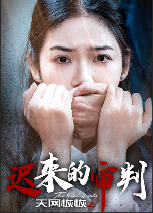 天网恢恢之迟来的审判（31集）今日短剧分享