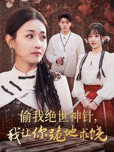 偷我绝世神针，我让你跪地求饶（30集）全集我都看完了