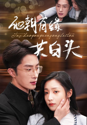 他朝有缘共白头(63集) 他朝有缘共白头(63集)甜宠短剧追到爽