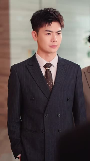 无风絮自飞（36集）全集一网打尽