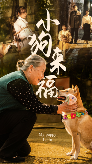 小狗来福（30集）精彩好看的短剧