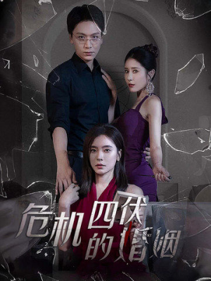 危机四伏的婚姻（56集）在线免费观看