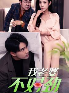 我老婆不对劲（34集）在线看免费版