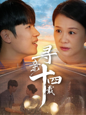 寻亲十四载（50集）在哪个平台看好