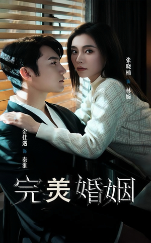 完美婚姻(65集) 完美婚姻(65集)精彩短剧合集