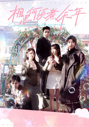 相思何须煮余年（33集）热门短剧追不停