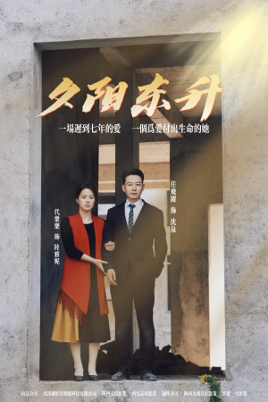 夕阳东升（30集）海量资源免费看