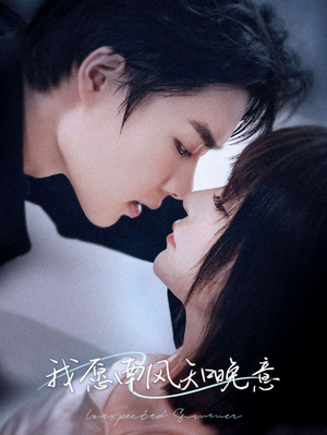 我愿南风知晚意（61集）短剧上热门